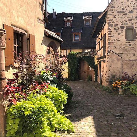 Les Gites Coeur De Vigne Riquewihr Dış mekan fotoğraf